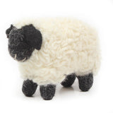 British Suffolk Sheep