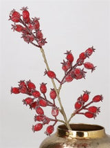 Shiny Red Rosehip Pick Bunch