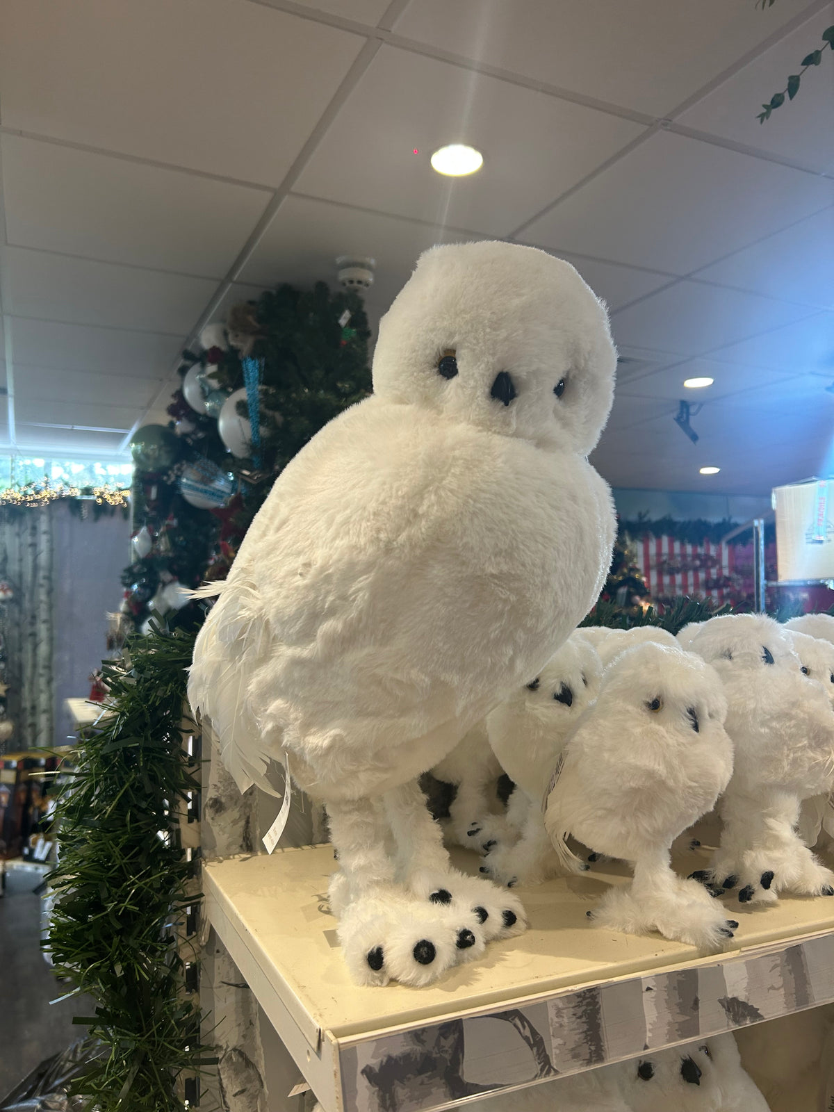 OWL STANDING 49CM
