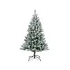 Frosted Canada Spruce