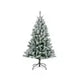 Frosted Canada Spruce