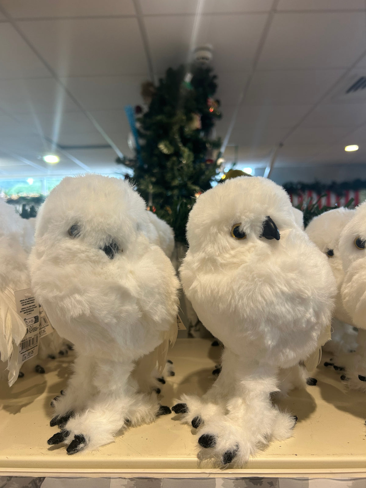 OWL STANDING 18CM