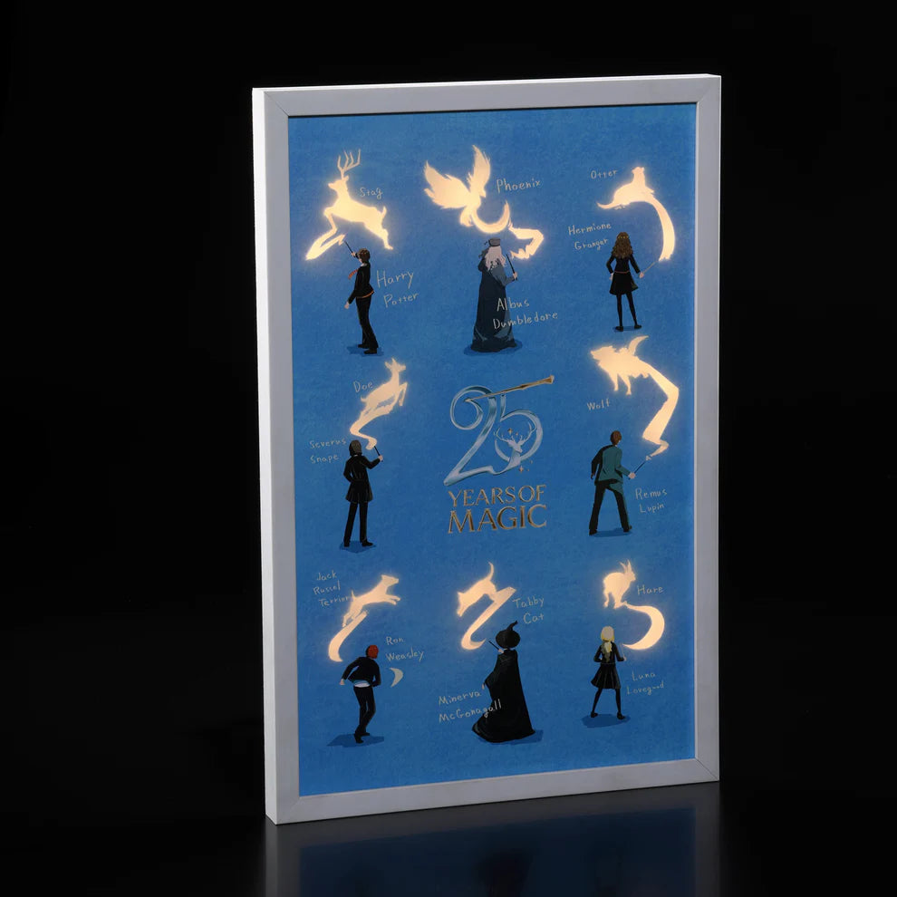 54CM 25 Years Of Magic Led Canvas