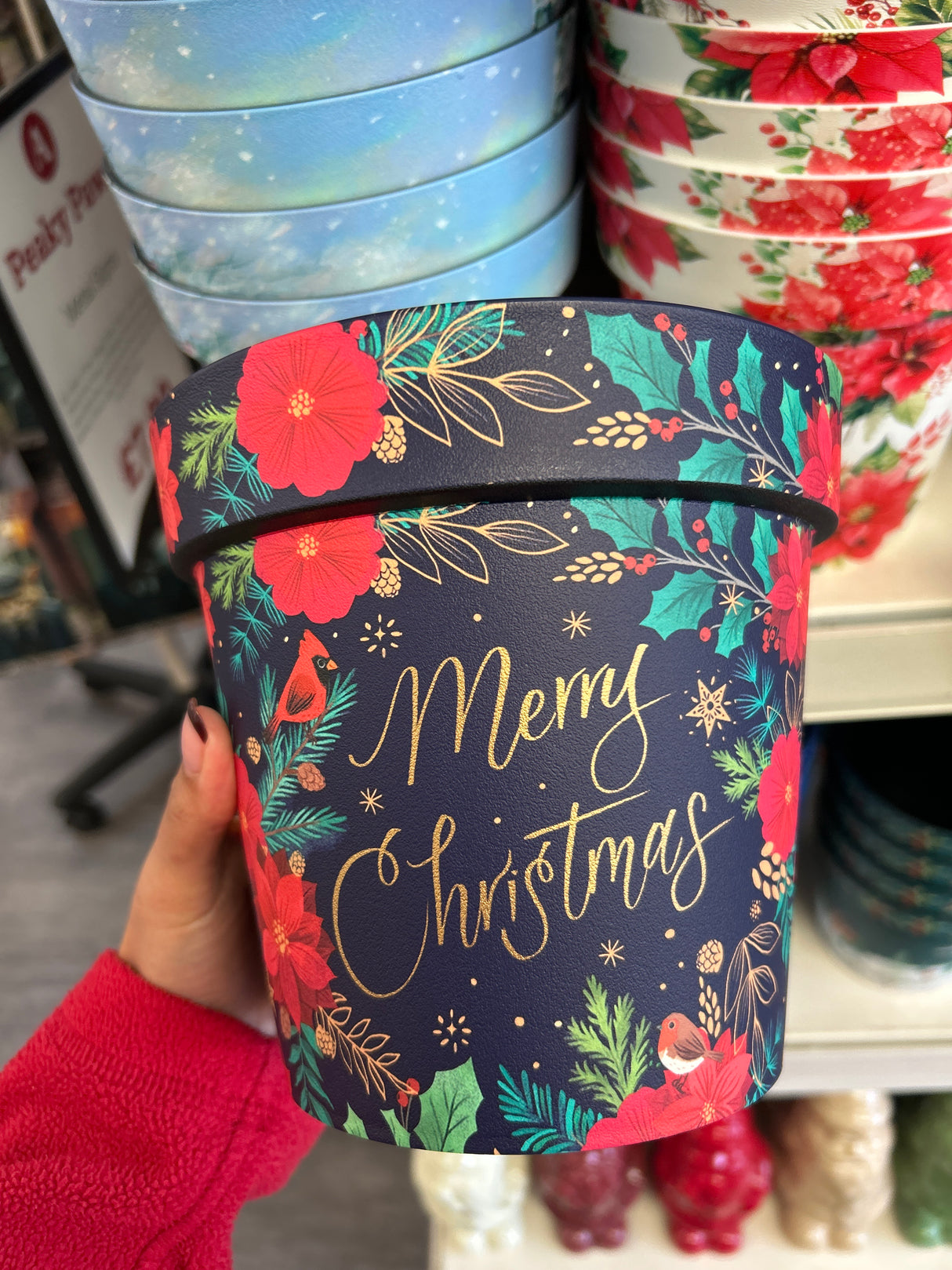 18cm Pot - Blue Poinsettia