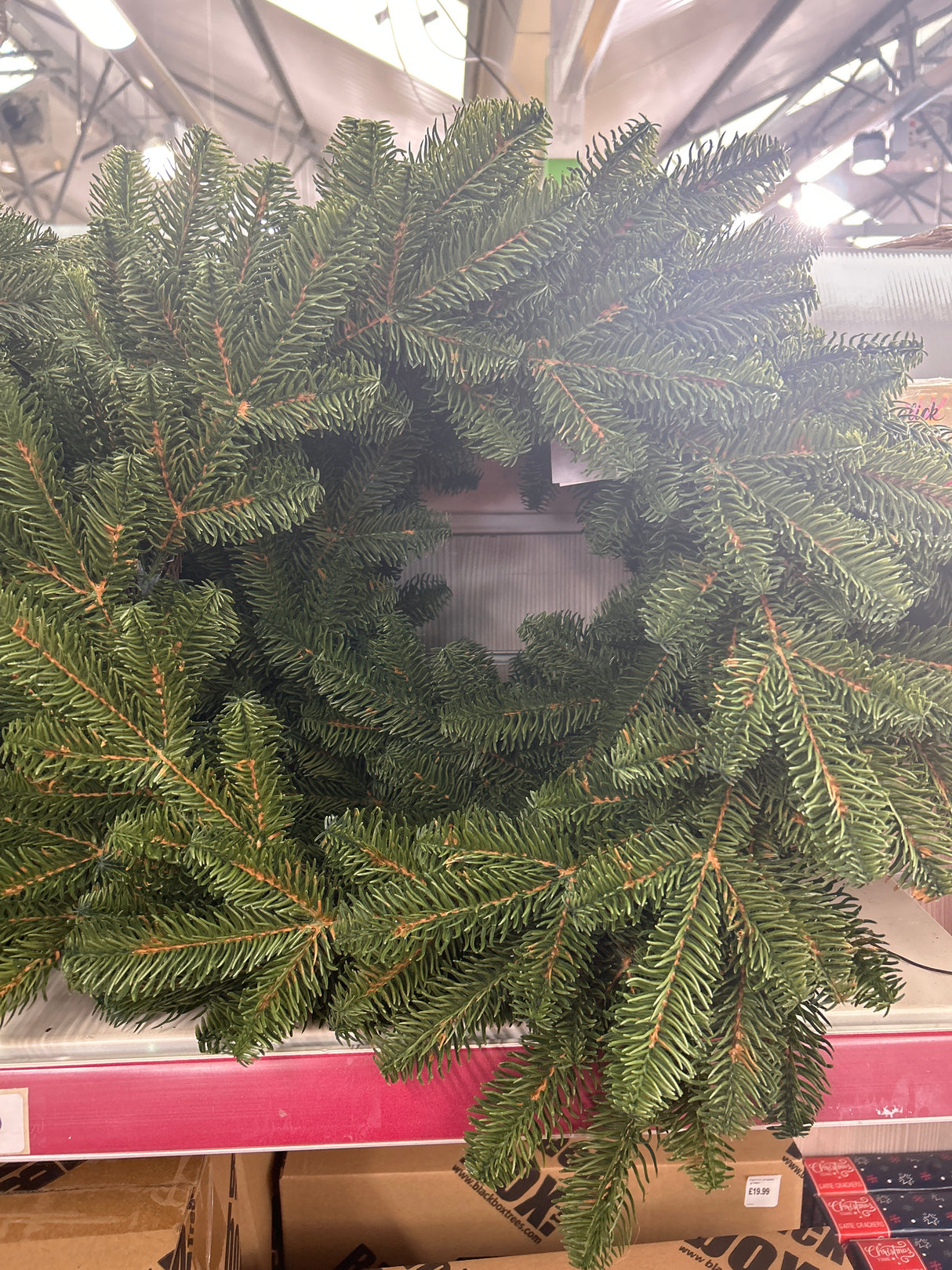 Plain Fir Wreath