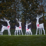 GlitterTwist Reindeer - Silver (Various sizes)