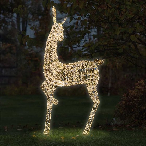 GoldTwist Doe - 235cm