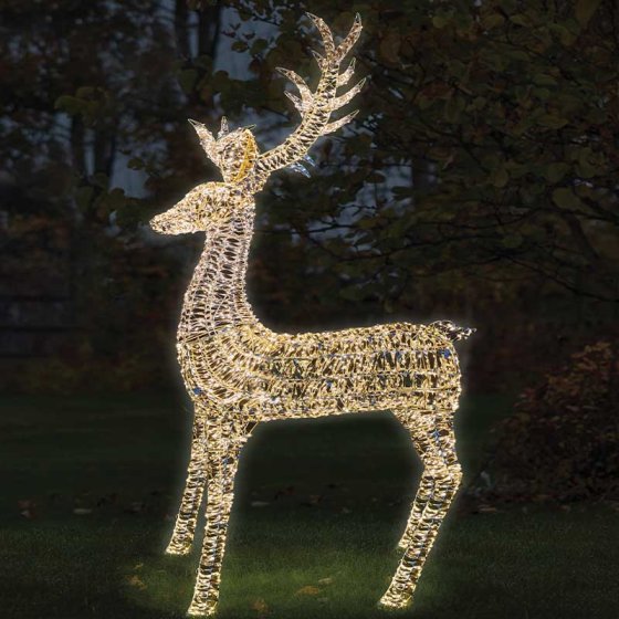 GoldTwist Stag - 270cm