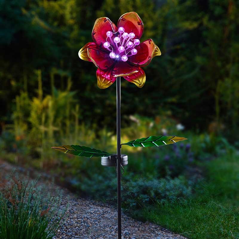GloBloom - Pink