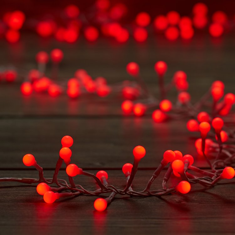 250 LED Globe String Lights (various colours)