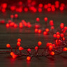 250 LED Globe String Lights (various colours)