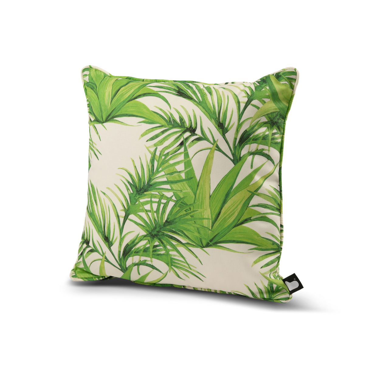 B Cushion Palm