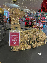 67cm Micro LED Reindeer Mains