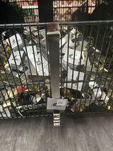 Wreath Hanger Silver