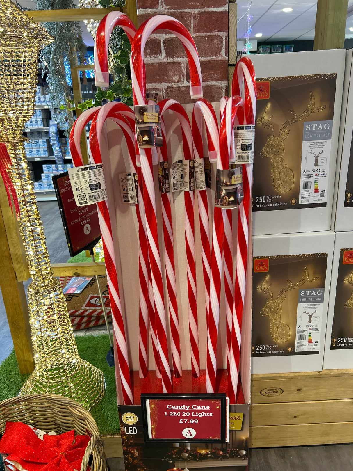 Candy Cane with 20 LED Lights