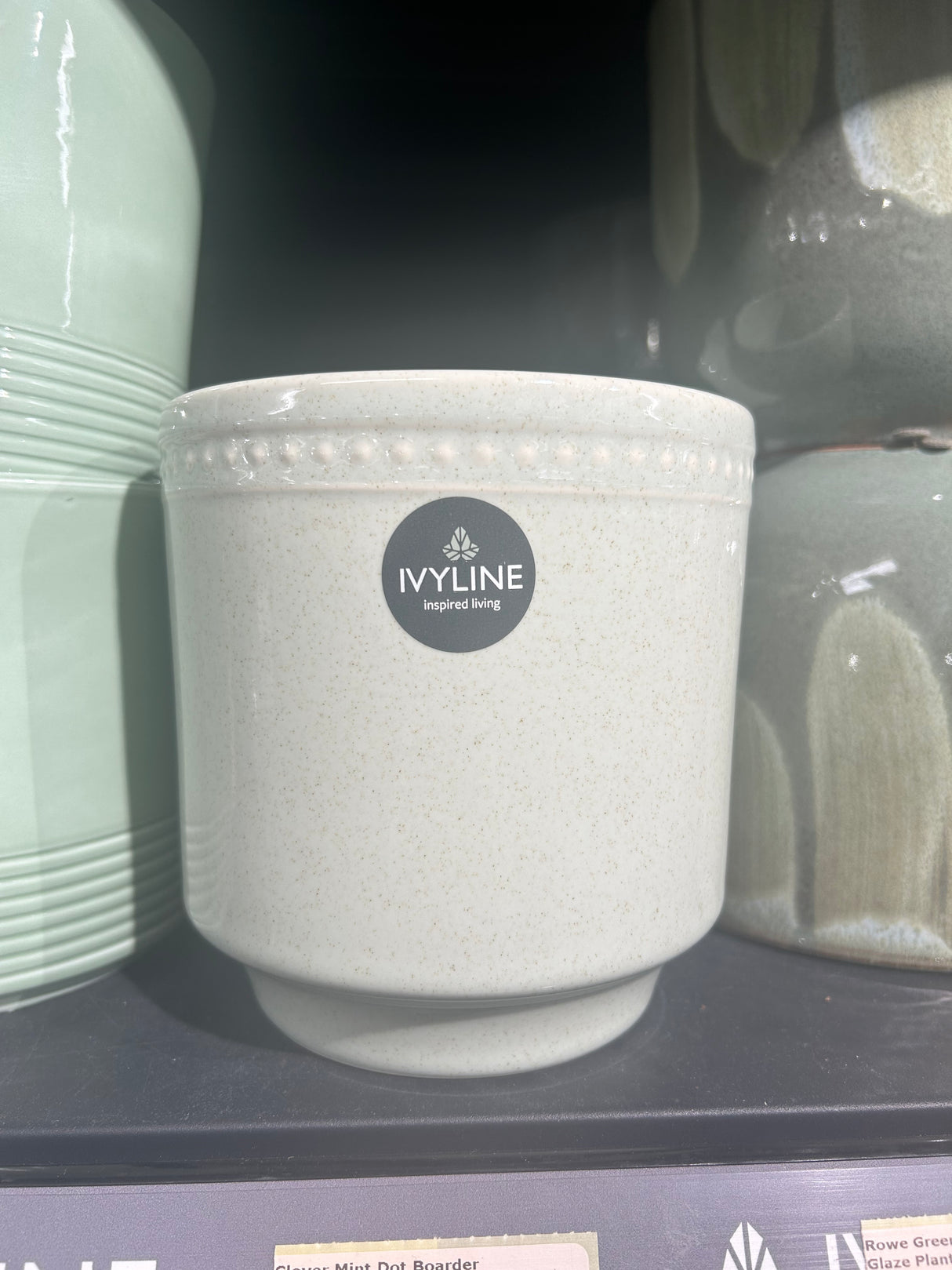 Clover Mint Dot Boarder Reactive Planter