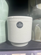 Clover Mint Dot Boarder Reactive Planter