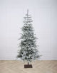 Elsa Frosted Snowy Fir Pre-Lit (Various sizes)