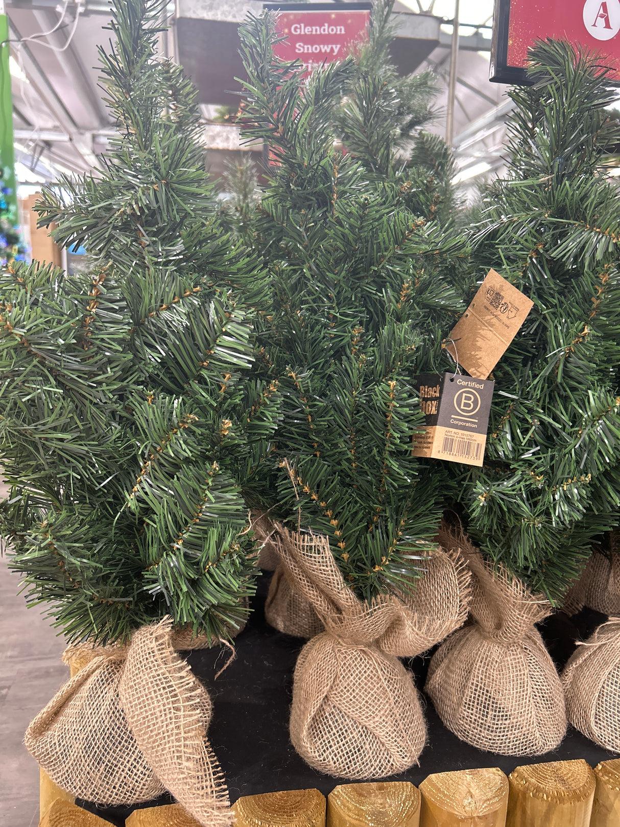 Norton x-mas tree