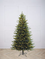 Grandvalira Fir Twinkle (Various sizes)