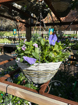 35cm 2 Tone Hanging Basket