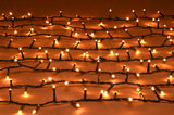 500 firefly lights - winter wishes