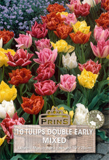 Tulips Double Early Mixed 10 Per Pack