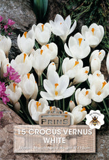 Crocus Vernus White 15 Per Pack