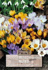 Crocus Mixed Species 20 Pack