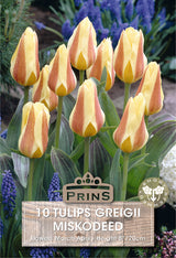 Tulips Miskodeed 10 Per Pack