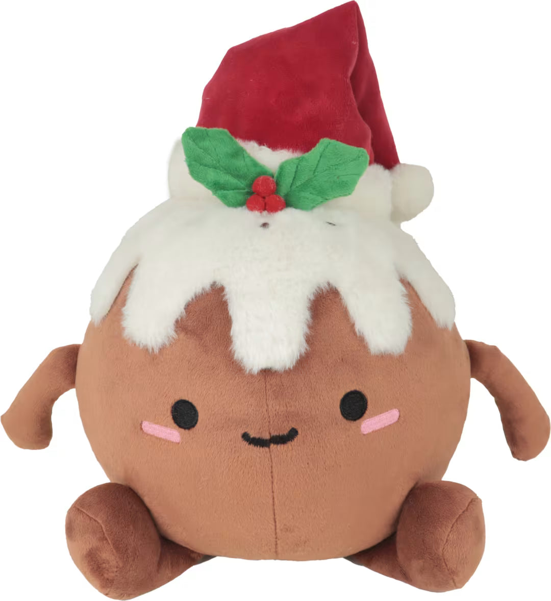 Chirstmas Pudding Large 30cm