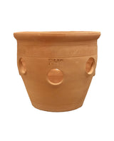 RHS Herb Planter