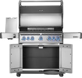 Napoleon Stainless Rogue PRO-S 625