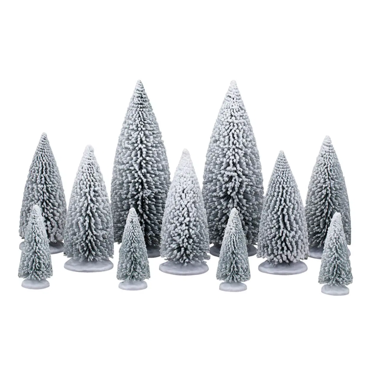 White Pine Trees