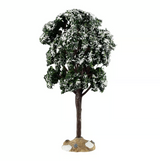 Large Balsam Fir Tree