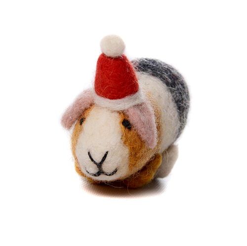 Guinea Pig with Hat