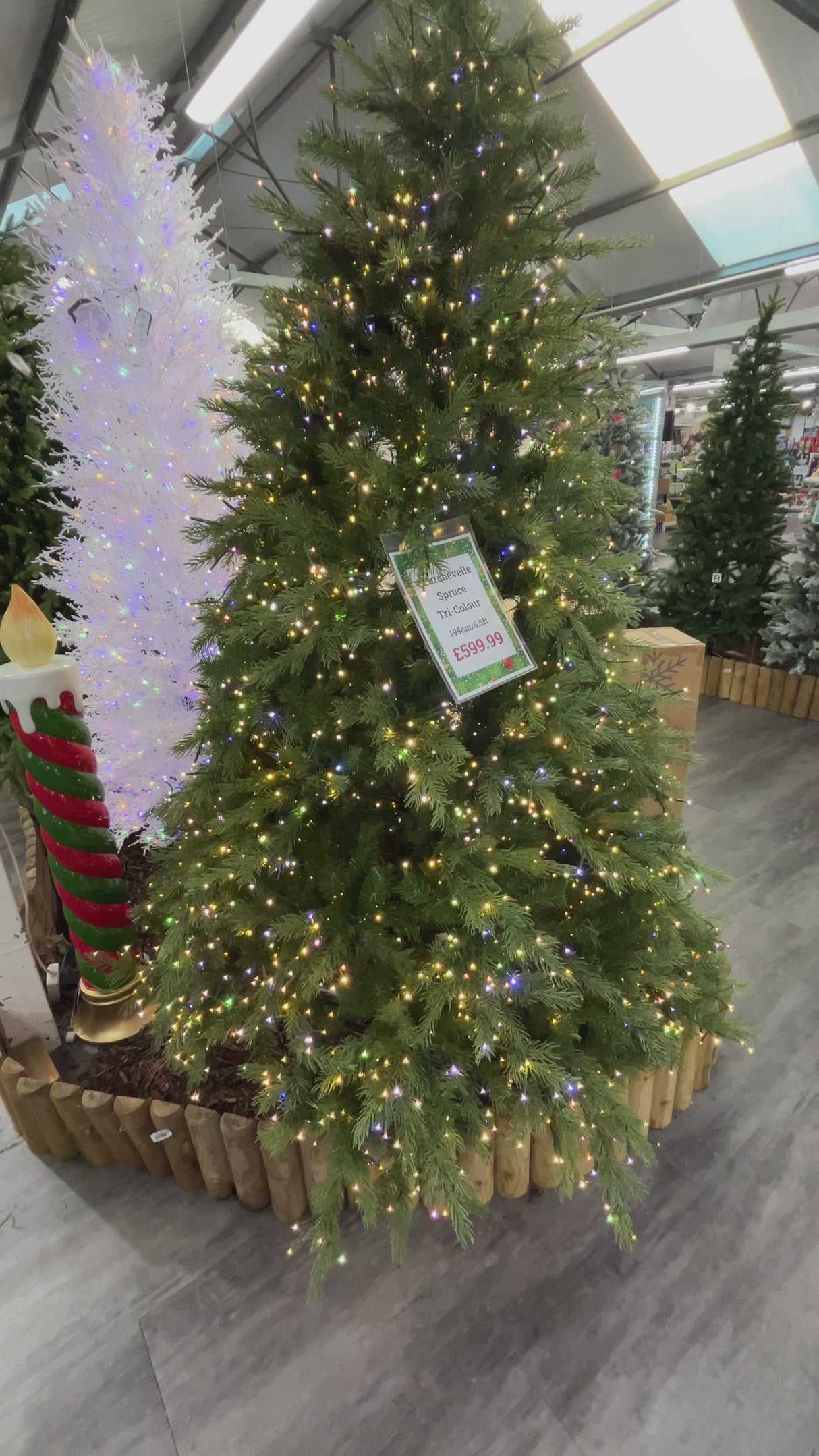Courchevel Spruce Tri-colour 195cm