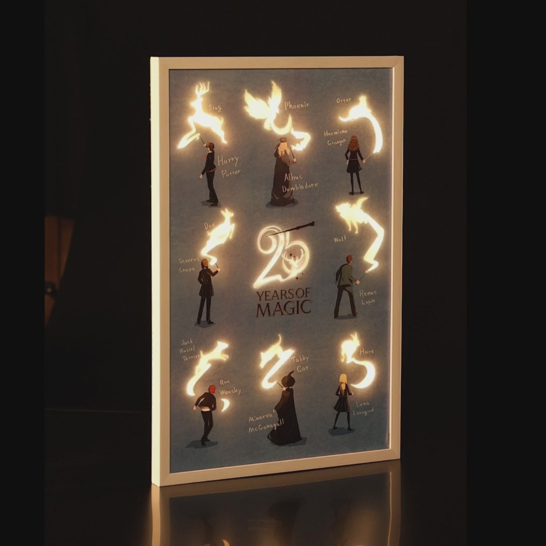 54CM 25 Years Of Magic Led Canvas