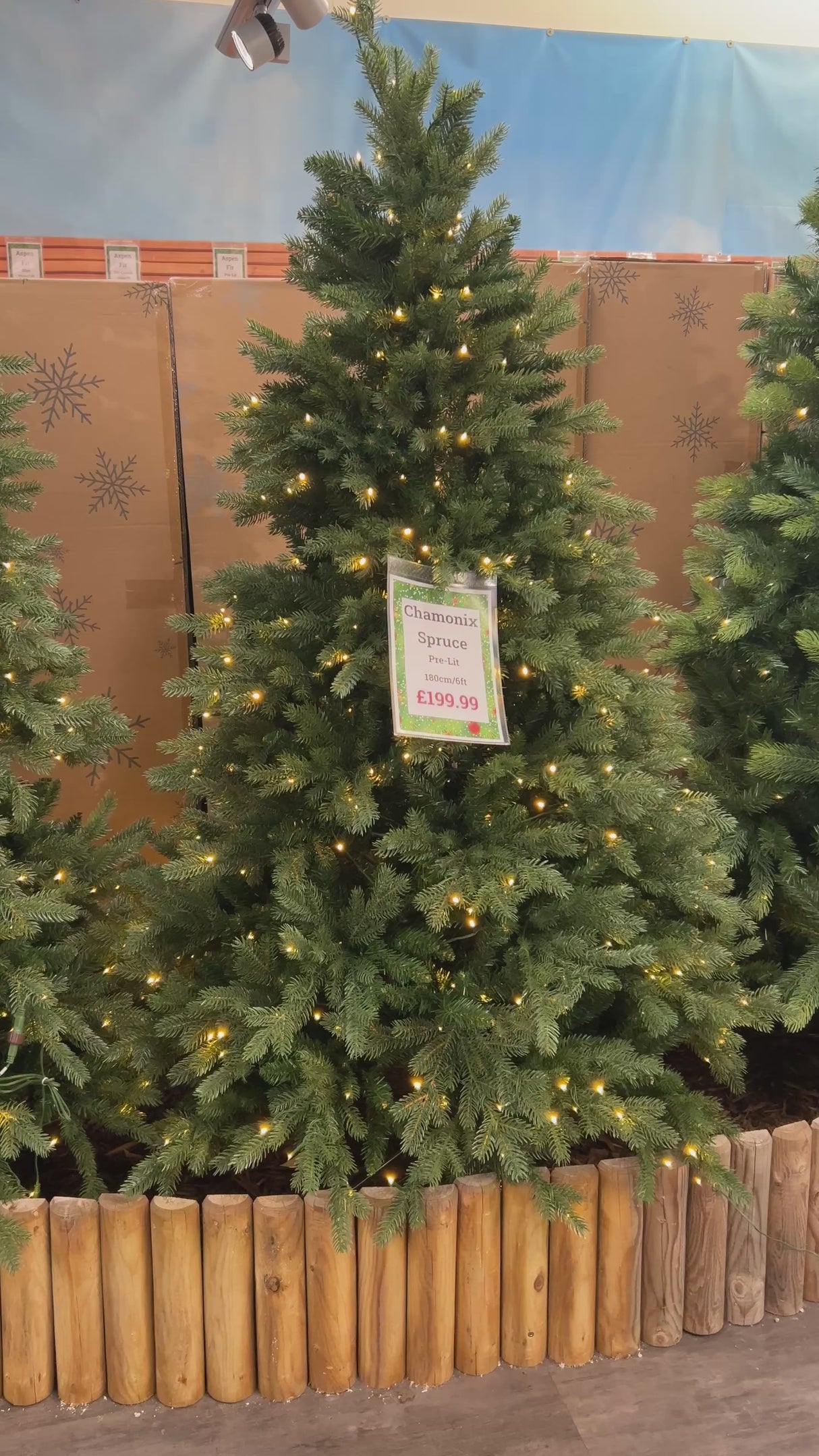 Chamonix Spruce Pre-Lit