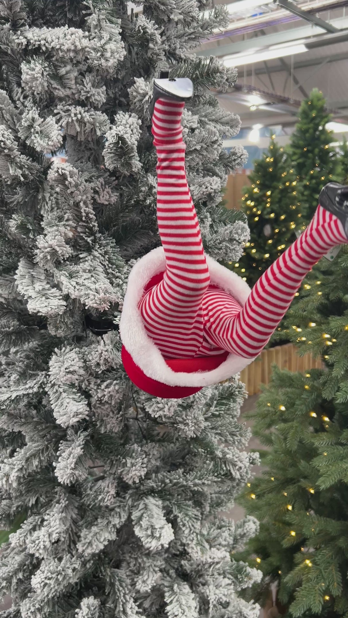 Christmas animated legs Mrs Claus or Elf