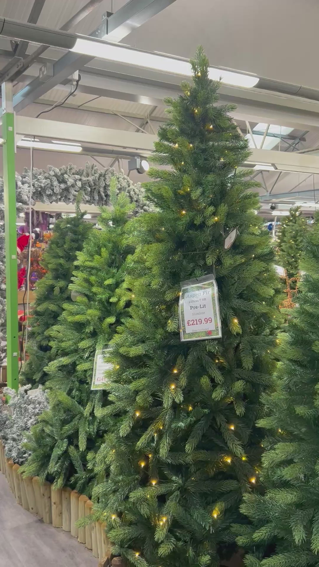 Aspen Fir Slim Prelit