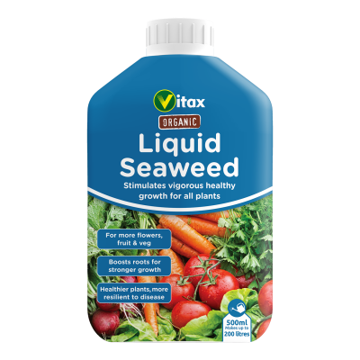 Organic Seaweed 500ml